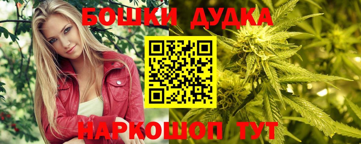 Бошки Шишки план Моздок